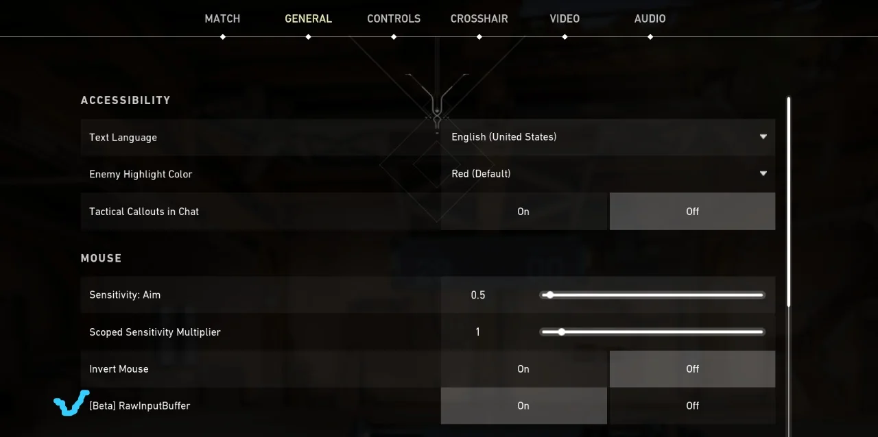 What is Raw Input Buffer for Valorant?