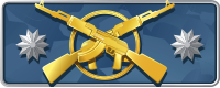 Master Guardian Elite