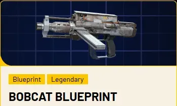 Item Preview
